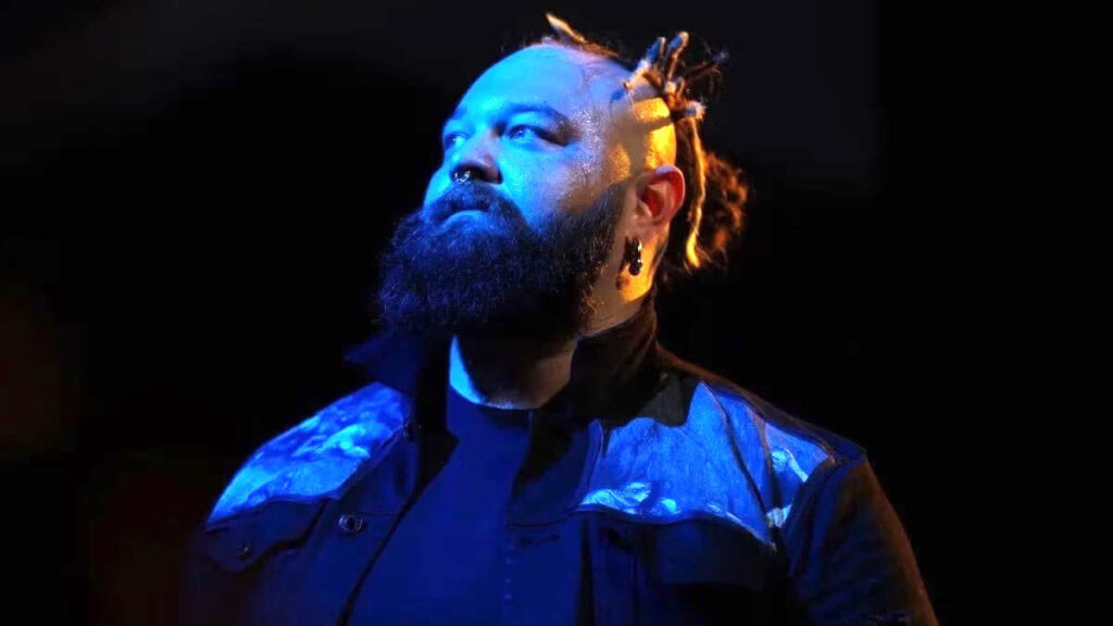 bray wyatt wrestling career